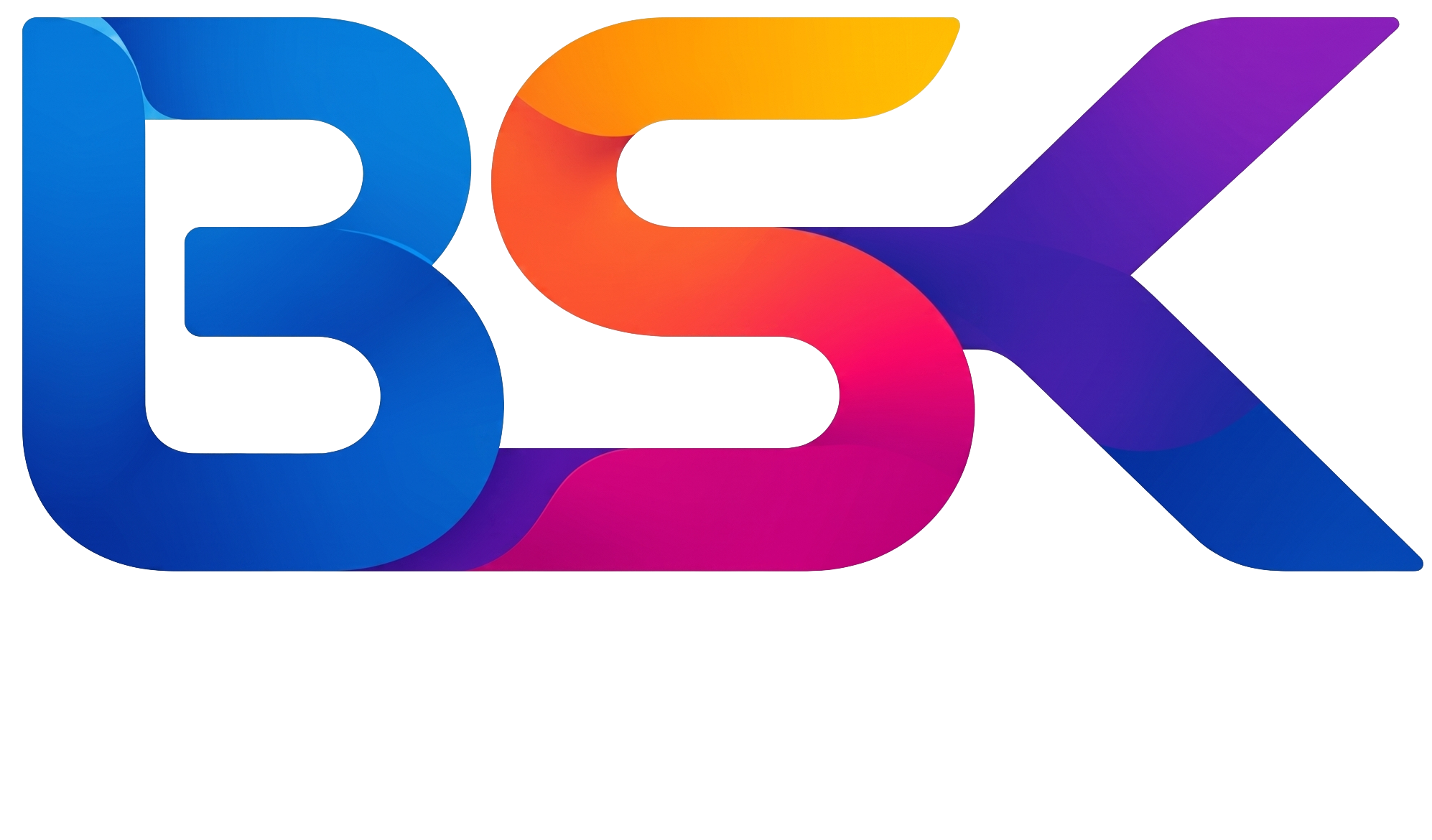 BSK Bilgi Teknolojileri Mikro Yazılım